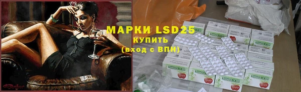 ПСИЛОЦИБИНОВЫЕ ГРИБЫ Инсар