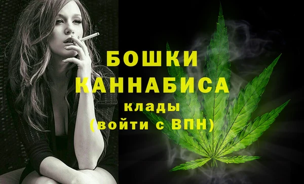 ПСИЛОЦИБИНОВЫЕ ГРИБЫ Инсар