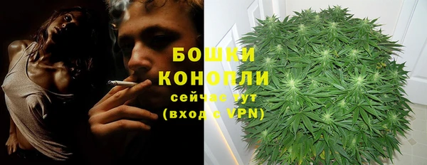 ПСИЛОЦИБИНОВЫЕ ГРИБЫ Инсар