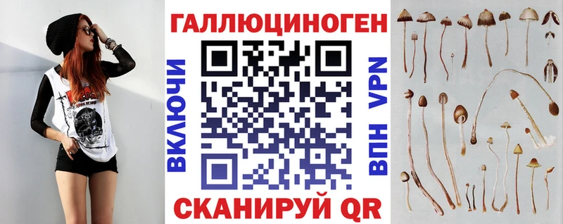 Купить закладки  Городовиковск  Галлюциногенные грибы Cubensis 